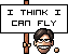 :fly: