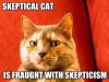 skeptical-cat-is-fraught-with-skepticism.jpg