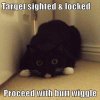 cat_target.jpg